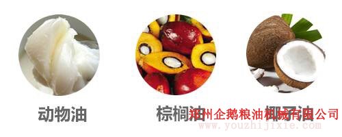 選油換油有講究, 食用油生產(chǎn)廠(chǎng)家教你選油吃油正確方法(圖6)