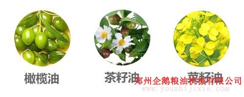 選油換油有講究, 食用油生產(chǎn)廠(chǎng)家教你選油吃油正確方法(圖2)